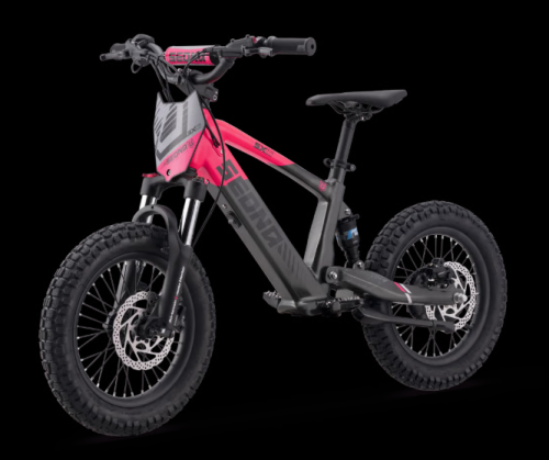Elektro Fahrrad Sedna SX16"